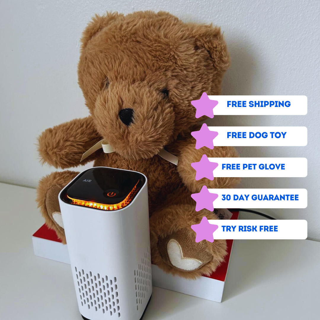 Pet Air Purifier