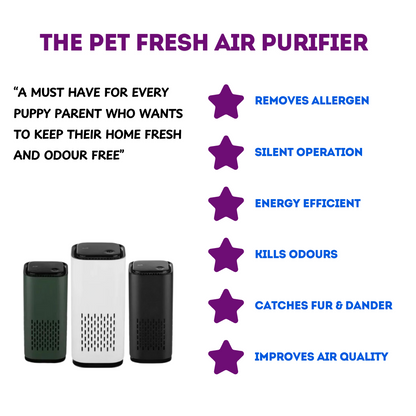 Pet Air Purifier