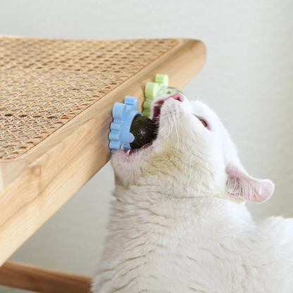 Catnip Ball Toy