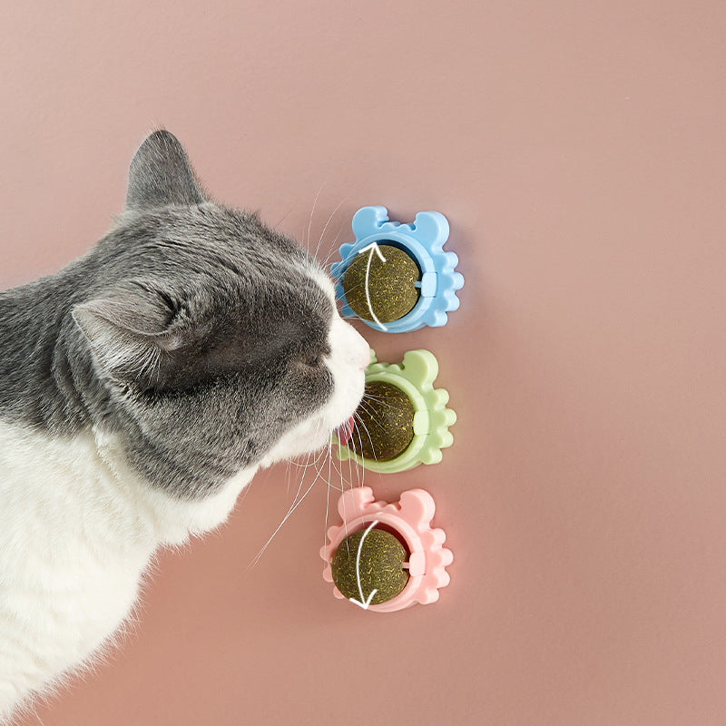 Catnip Ball Toy