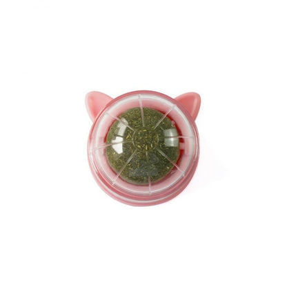 Catnip Ball Toy