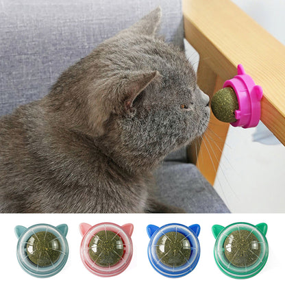 Catnip Ball Toy