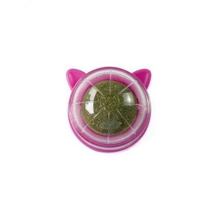 Catnip Ball Toy